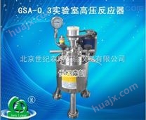 GSA-0.3实验室高压反应器