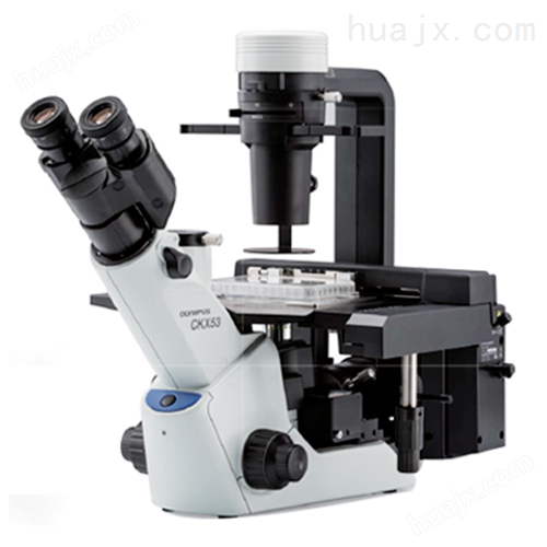 奥林巴斯CKX53倒置显微镜