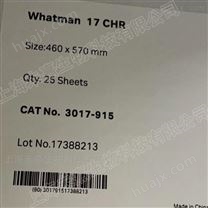 英国沃特曼Grade 17Chr纤维素层析纸