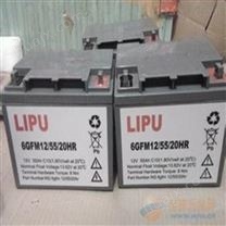 LIPU蓄电池（实业）电源有限公司