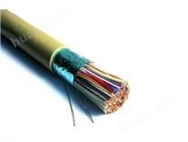 PVV22信号电缆