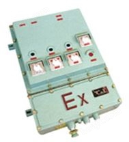 ZXBXG系列防爆控制箱(ⅡB、ⅡC级)