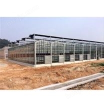钢化玻璃大棚 玻璃温室大棚 智能温室 现代农业大棚 镀锌管大棚