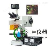数码型荧光显微镜DFM-20D
