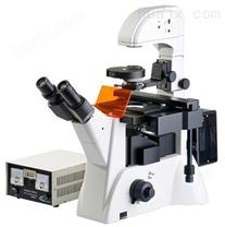 荧光显微镜DXY-2
