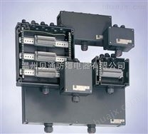 BXJ8050系列防爆防腐接线箱（e、DIP）